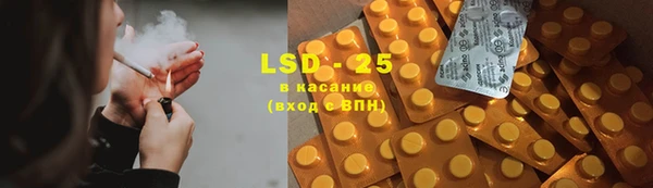 прущие грибы Вяземский