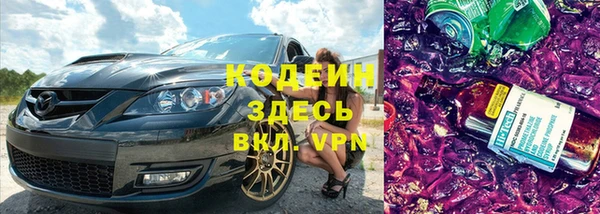 прущие грибы Вяземский