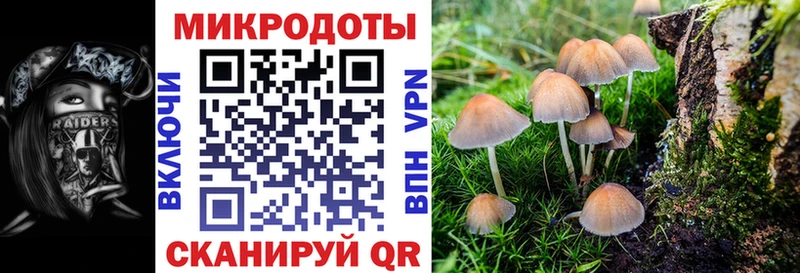 Купить закладки  Лосино-Петровский  Псилоцибиновые грибы ЛСД 